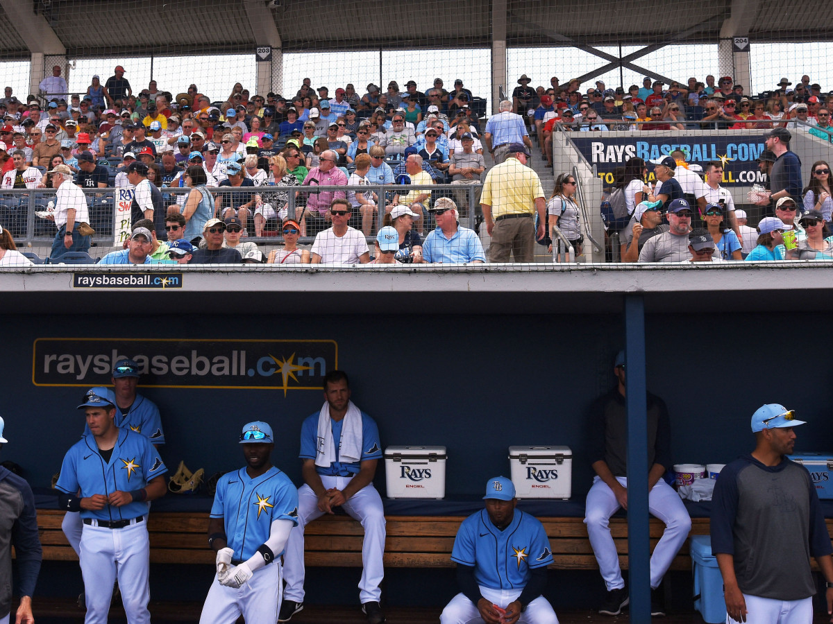 spring-training